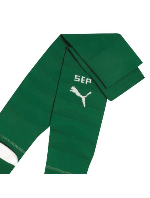 Meião Palmeiras I 26/27 Puma Masculina - Verde