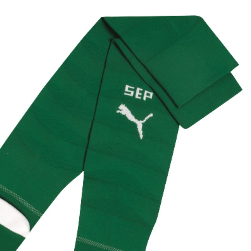 meião-palmeiras-i-26/27-puma-masculina-verde