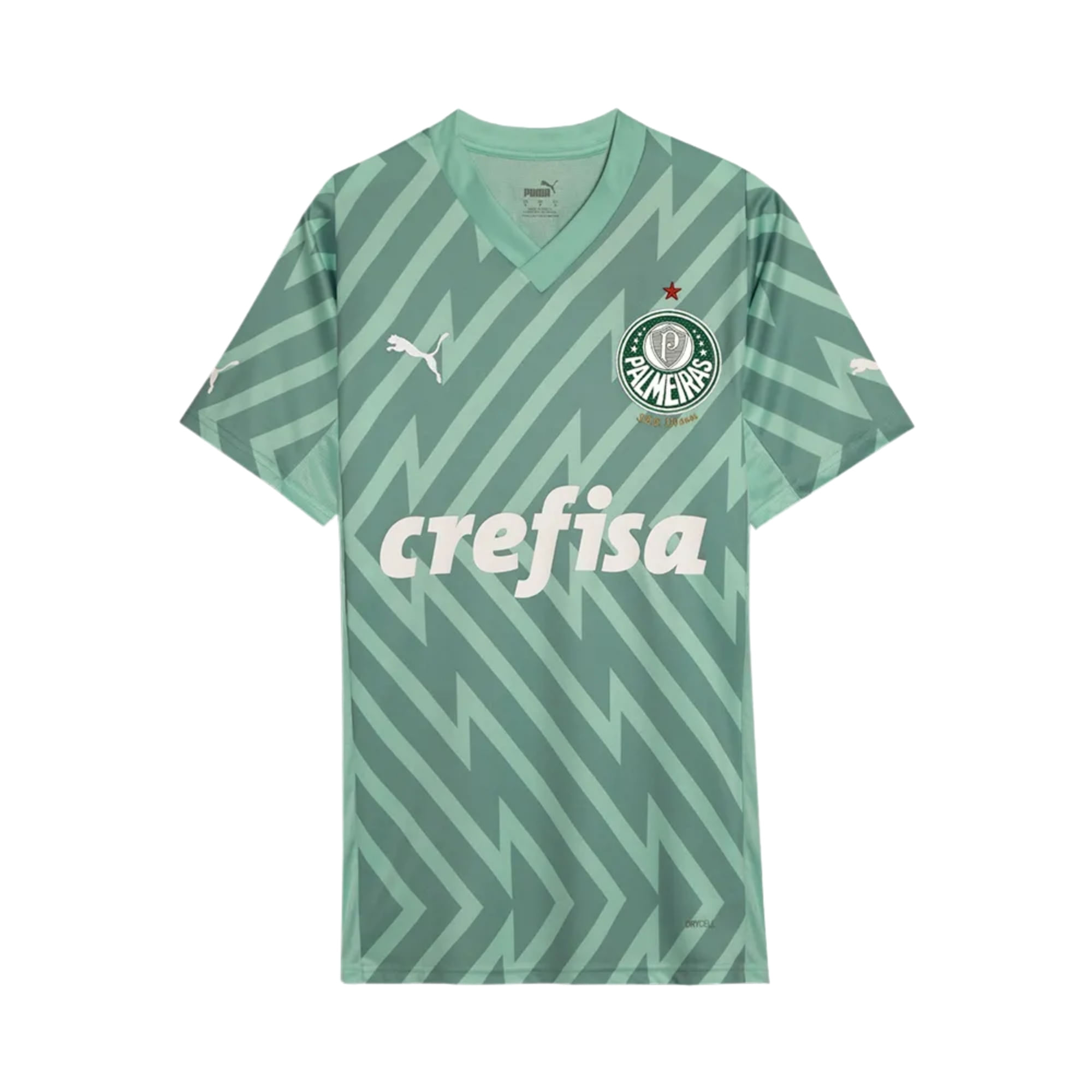 Camisa Palmeiras 24/25 II Puma Goleiro Masculina - Verde