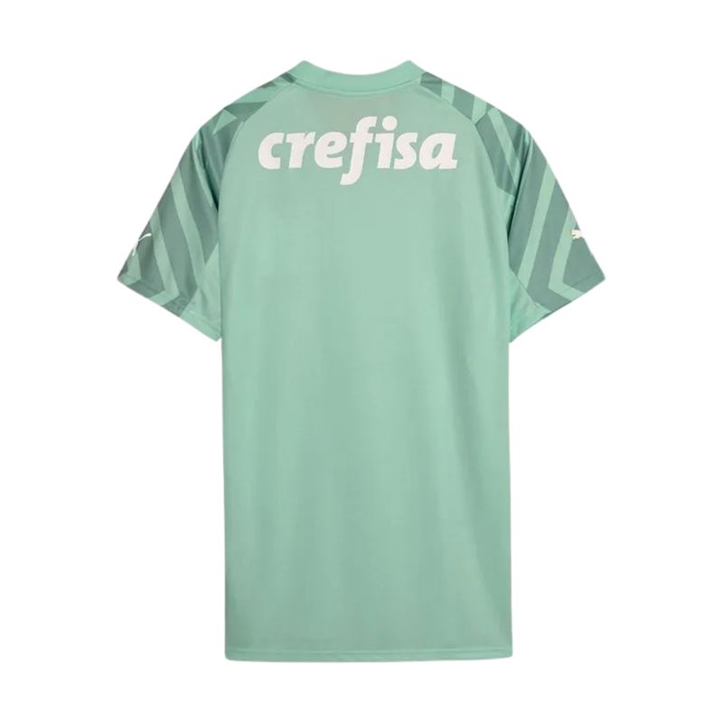camisa-palmeiras-24-25-ii-puma-goleiro-masculina-verde