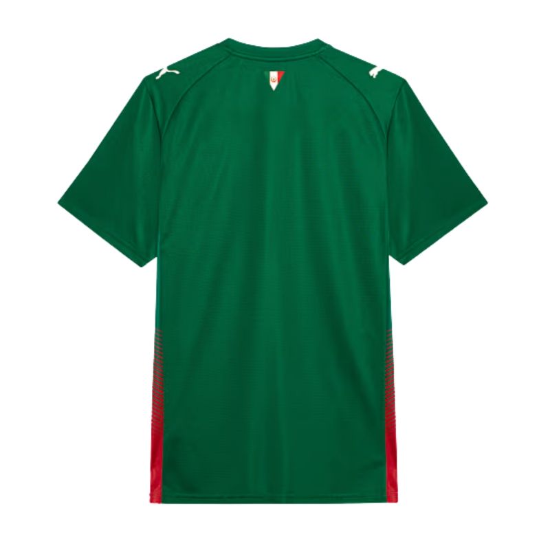 camisa-palmeiras-i-26-27-puma-torcedor-masculina-verde