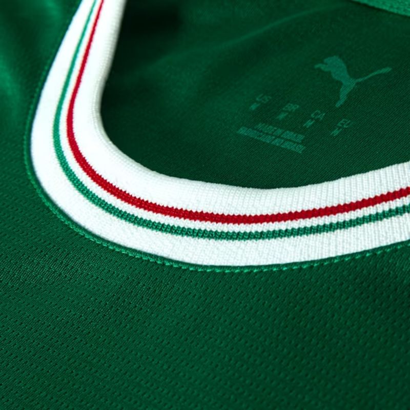 camisa-palmeiras-i-26-27-puma-torcedor-masculina-verde