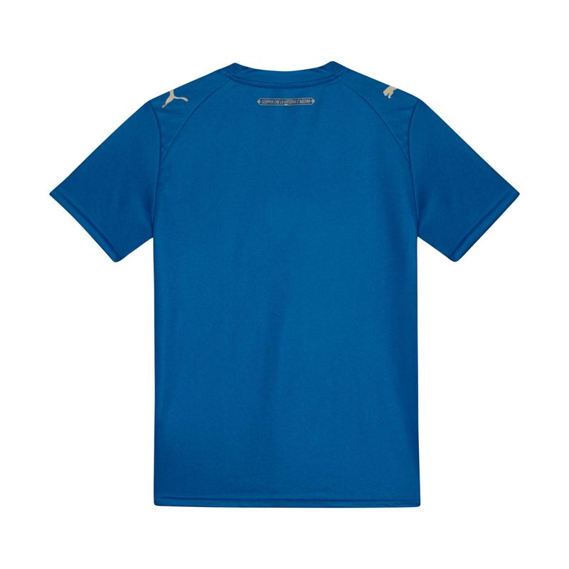 camisa-palmeiras-iii-26/27-puma-torcedor-infantil-azul