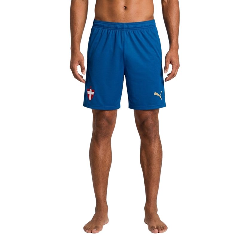 calcao-palmeiras-iii-26/27-puma-torcedor-masculino-azul
