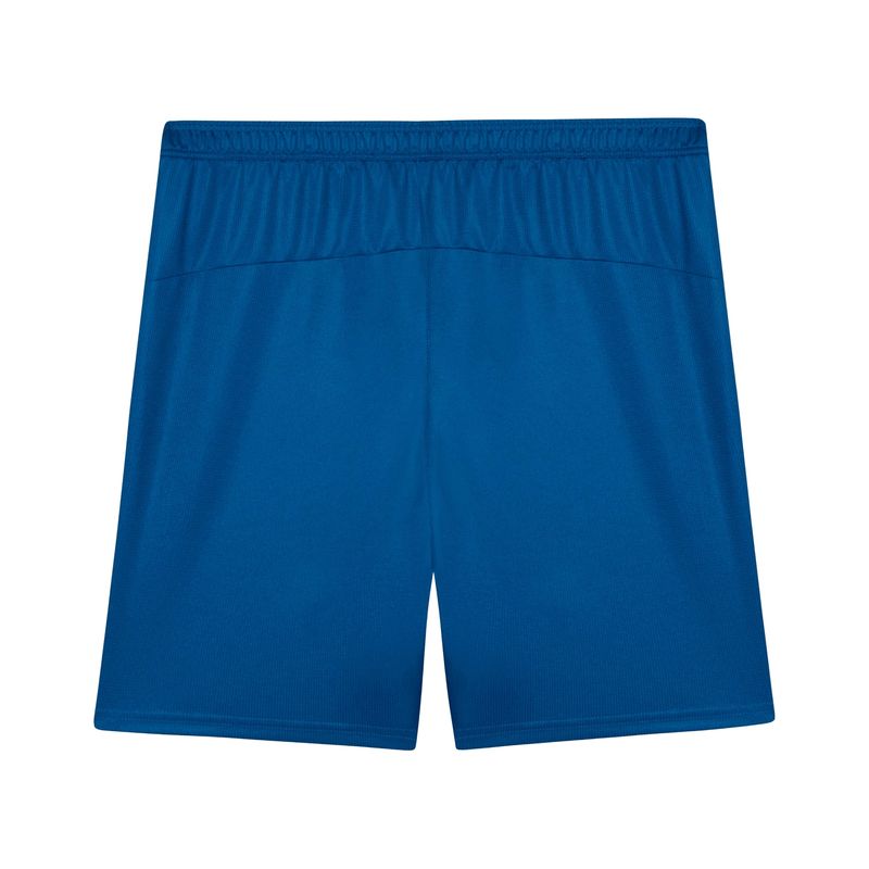 calcao-palmeiras-iii-26/27-puma-torcedor-masculino-azul