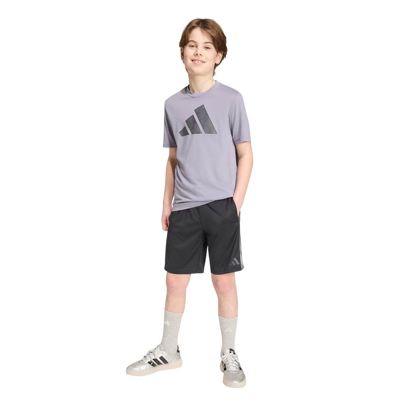 conjunto-adidas-sport-seasonals-camo-infantil-cinza